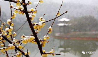 冬天的詩(shī)句六字古詩(shī)大全