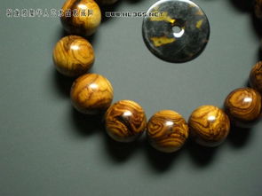 關(guān)于一根樹(shù)杈的詩(shī)句