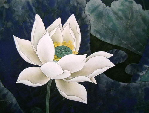 古詩(shī)文中贊美荷花的確實(shí)不少的詩(shī)句