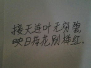 與澈有關(guān)的古詩(shī)句