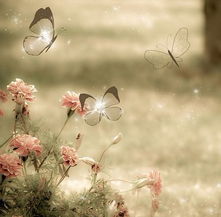 風(fēng)與花的詩(shī)句是什么,風(fēng)和月的詩(shī)句是什么,風(fēng)的情詩(shī)句是什么