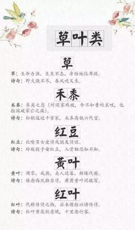 關(guān)于雁意象的詩(shī)句
