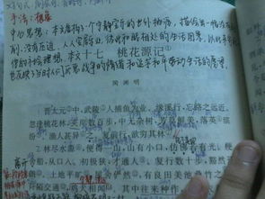 關(guān)于對生活的追求的詩句