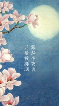 關(guān)于中秋節的五字十一行詩(shī)句