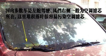 關(guān)于時(shí)光與落葉的詩(shī)句