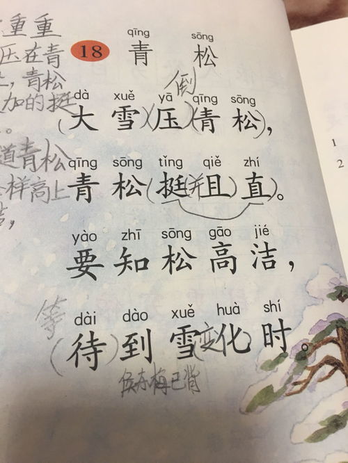 日語(yǔ),青松,詩(shī)句