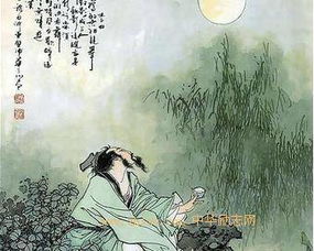 詩(shī)句,傾盡