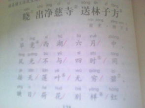 描寫(xiě)夏天景物的詩(shī)句古詩(shī)