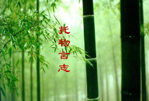 有關(guān)骨氣的古詩(shī)句
