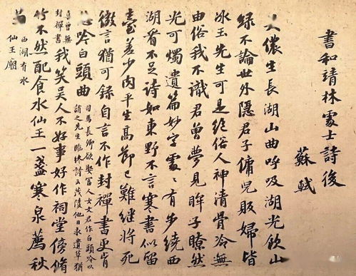 關(guān)于林的詩(shī)句古詩(shī),林開(kāi)頭的詩(shī)句古詩(shī),6字詩(shī)句古詩(shī)