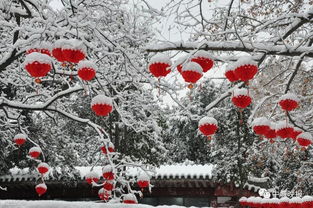 關(guān)于帶有雪和月的詩(shī)句有哪些
