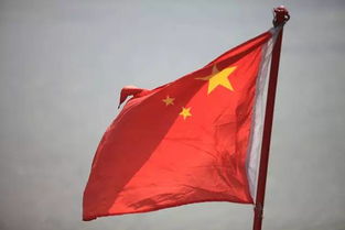 關(guān)于愛(ài)國的詩(shī)句短一點(diǎn)