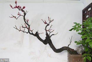 珍惜水的詩(shī)句古詩(shī)詞