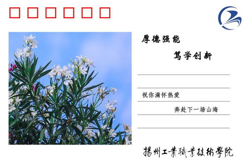社會(huì )生活,詩(shī)句
