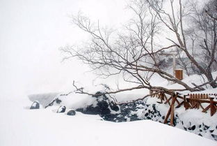 自創(chuàng  )寫(xiě)雪的詩(shī)句比喻,關(guān)于雪的現代詩(shī)句自創(chuàng  ),描寫(xiě)雪的詩(shī)句自創(chuàng  )