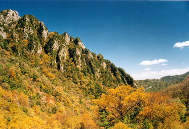 關(guān)于太白山僧人的詩(shī)句
