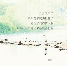 詩(shī)句,描寫(xiě)