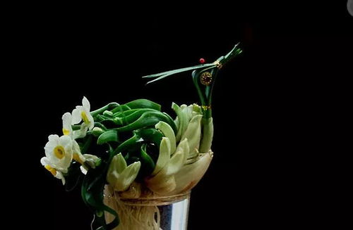 描寫(xiě)水仙花的詩(shī)句古詩(shī),描寫(xiě)水仙花的詩(shī)句,描寫(xiě)水仙花的詩(shī)句古詩(shī)大全