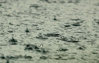 帶雨的古詩(shī)詞100首,關(guān)于雨的飛花令的古詩(shī),帶雨字的古詩(shī)飛花令