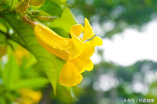 春天夏天景色的詩(shī)句古詩(shī)詞
