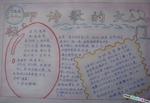 有關(guān)于詩(shī)句的手抄報的內容
