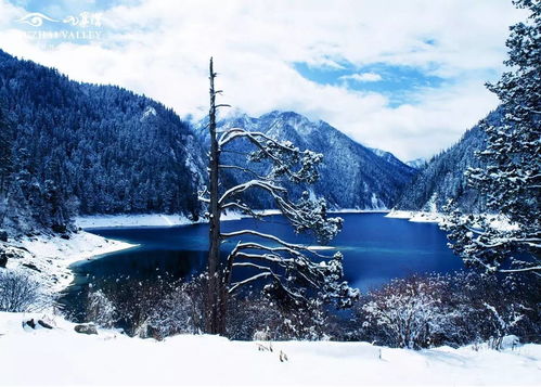 白雪皚皚,詩(shī)句,冬日