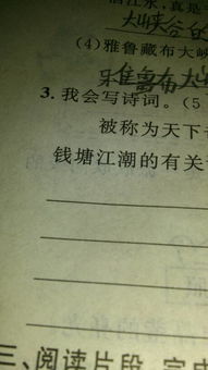 關(guān)于寫(xiě)錢(qián)塘江大潮的詩(shī)句是古詩(shī)