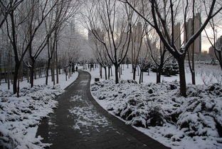 關(guān)于三月飄雪的詩(shī)句