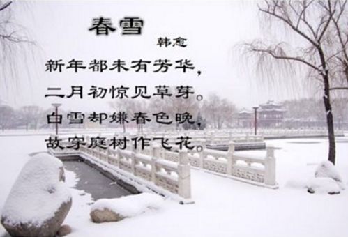 含草字的詩(shī)句古詩(shī)