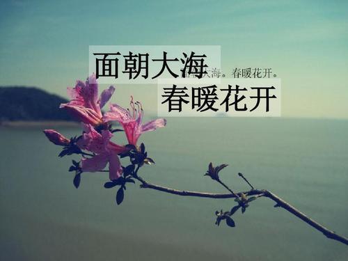 積極向上的詩(shī)句古詩(shī)詞,形容積極向上的詩(shī)句,積極向上的唯美詩(shī)句