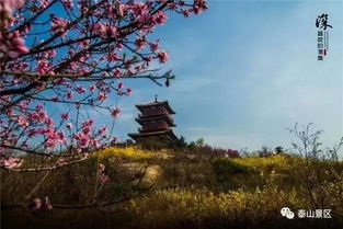 描寫(xiě)泰山美的詩(shī)句古詩(shī)