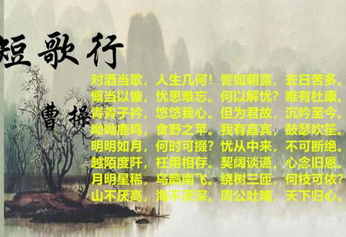 關(guān)于曹操最后一次南征的詩(shī)句