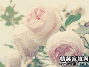 關(guān)于珍惜朋友的英文詩(shī)句