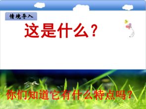 兒童捕蟬的詩(shī)句,描寫(xiě)兒童的詩(shī)句古詩(shī),關(guān)于兒童生活的詩(shī)句古詩(shī)
