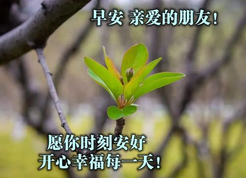 關(guān)于夢(mèng)與祝福的詩(shī)句