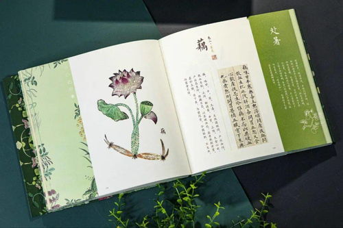 詩(shī)句,生存,生命,生活