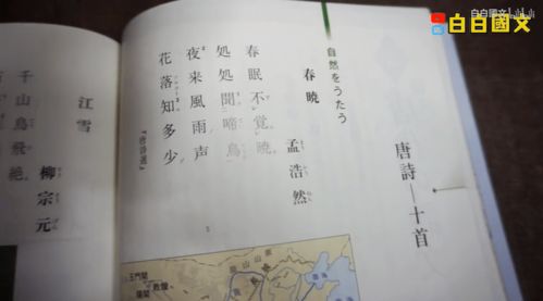 古詩(shī),詩(shī)句,文中,轉折