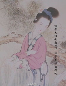 古詩(shī)形容女子美貌的詩(shī)句