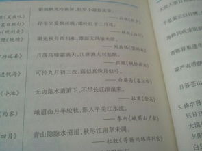 有關(guān)夏天的詩(shī)句古詩(shī)大全,描寫(xiě)夏天的詩(shī)句古詩(shī)大全,夏天的花詩(shī)句古詩(shī)大全