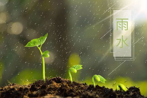 關(guān)于二十四節氣雨水的詩(shī)句