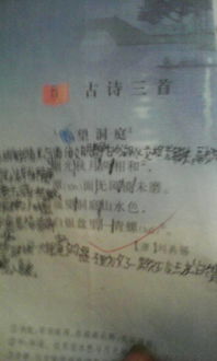 優(yōu)字的古詩(shī)句
