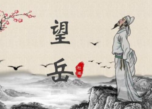 小學(xué)生必背古詩(shī)中杜甫的詩(shī)句
