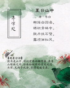 贊美人詩(shī)句古詩(shī)詞