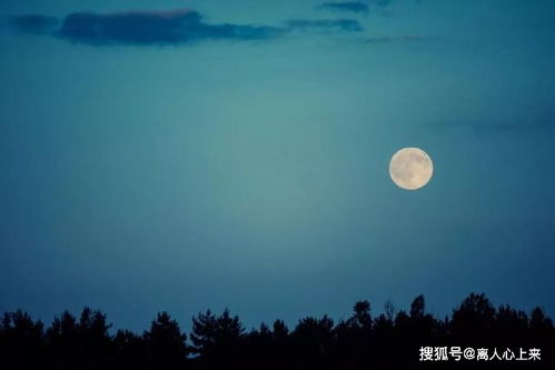 詩(shī)句,今夜