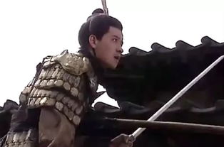關(guān)于司馬昭的的詩(shī)句