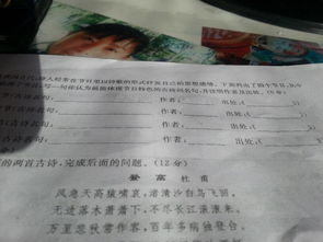反映重陽(yáng)節和清明節的古詩(shī)句