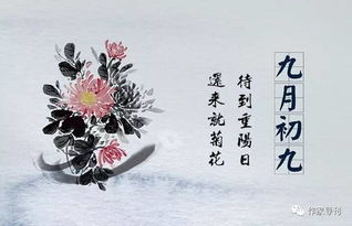 關(guān)于重陽(yáng)節的現代詩(shī)句大全,關(guān)于重陽(yáng)節的現代詩(shī)句有哪些,重陽(yáng)節現代詩(shī)句大全