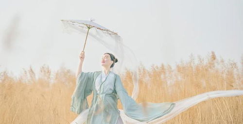 有關(guān)于思鄉心切的詩(shī)句