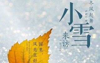 氣節,詩(shī)句,人品