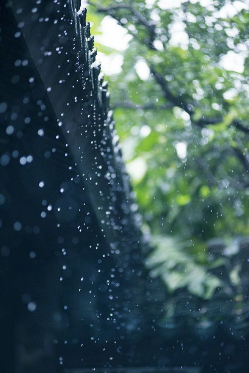詩(shī)句
